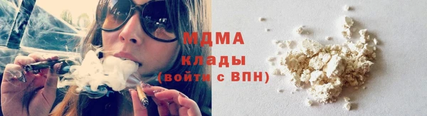 шишки Белоозёрский