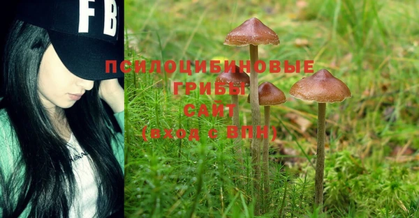 шишки Белоозёрский