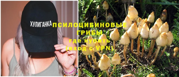 бутират Белокуриха