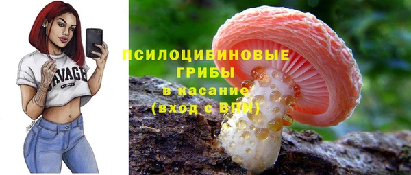 шишки Белоозёрский