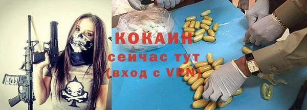 шишки Белоозёрский