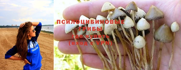 бутират Белокуриха