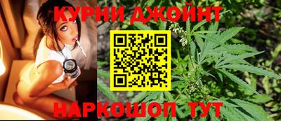 гашик Бийск
