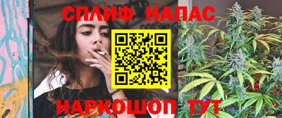 гашик Бийск