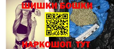 гашик Бийск