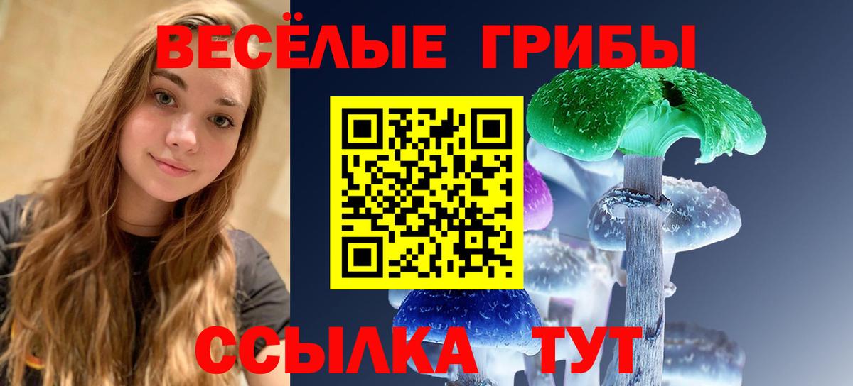 Псилоцибиновые грибы Cubensis Вятские Поляны