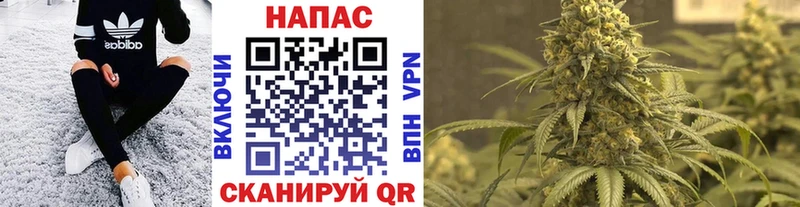 Бошки марихуана сатива  даркнет официальный сайт  Вятские Поляны  купить наркоту 